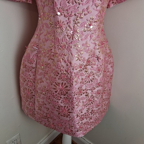 Catchall Astrid Frozen Berry Jacquard Floral Mini Dress Size Small NWT - Picture 8 of 14